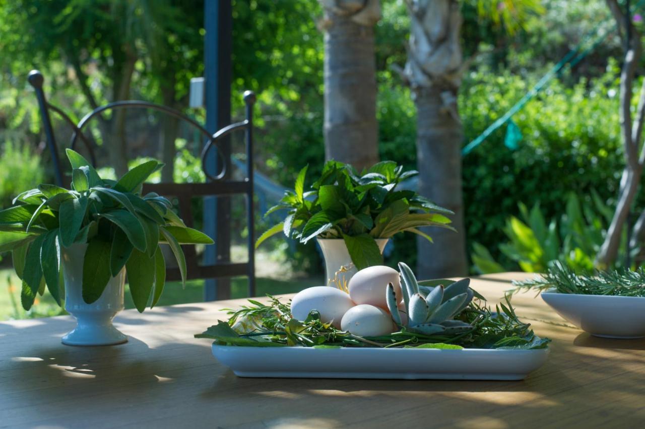 ラ・ロンド・レ・モール House With Garden And Sea Viewヴィラ エクステリア 写真