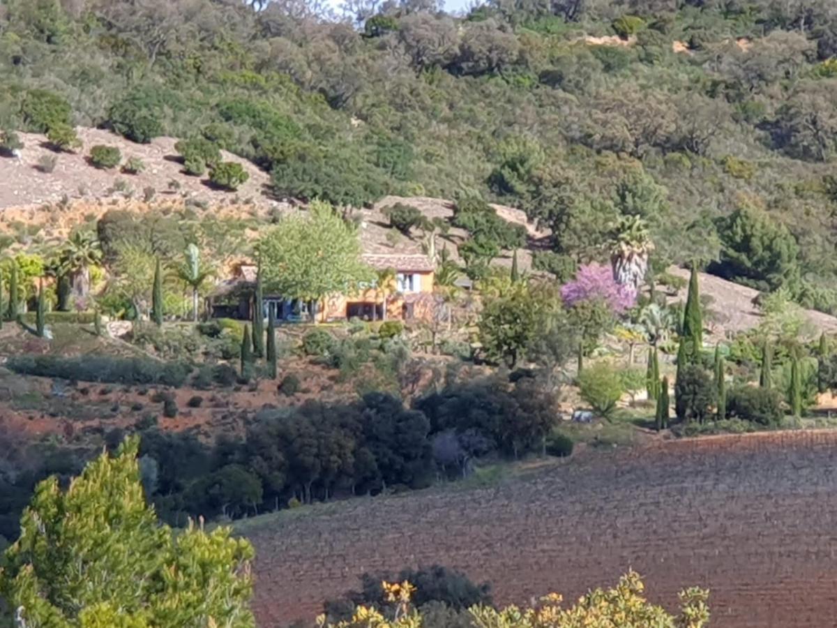 ラ・ロンド・レ・モール House With Garden And Sea Viewヴィラ エクステリア 写真