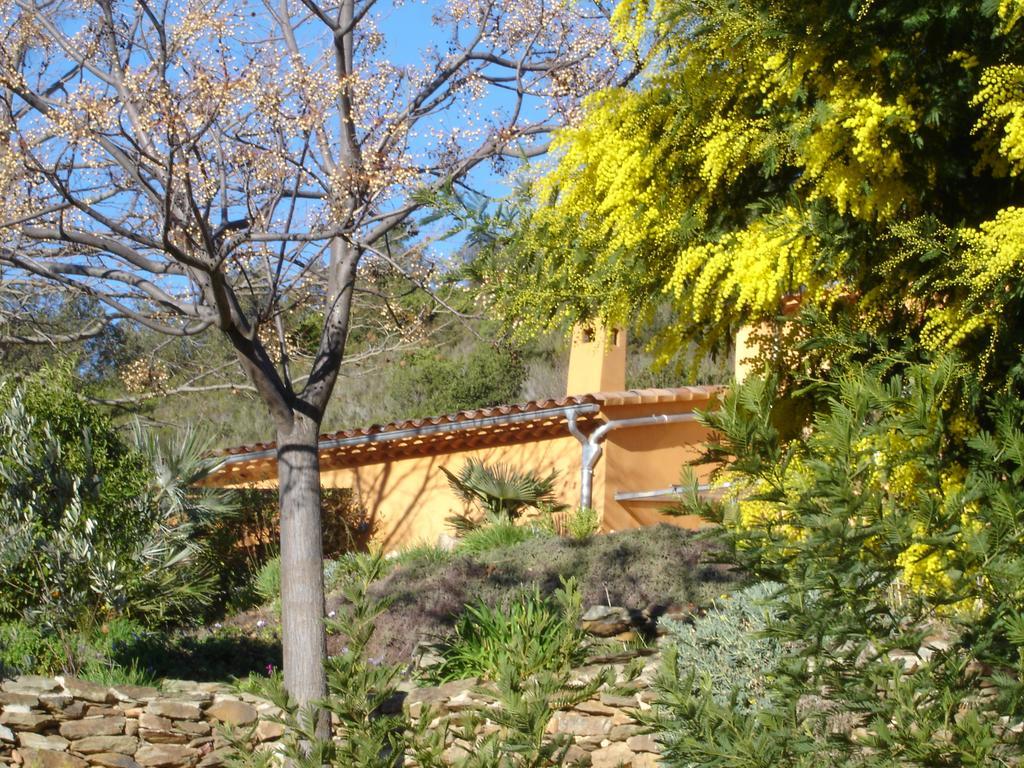 ラ・ロンド・レ・モール House With Garden And Sea Viewヴィラ 部屋 写真